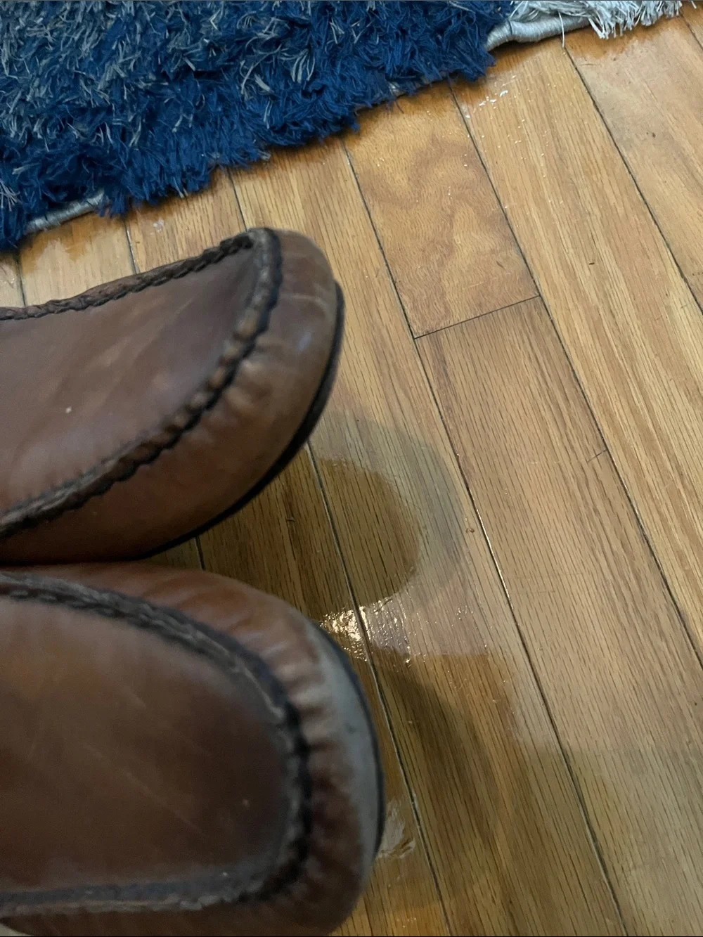 Allen Edmonds classic brown